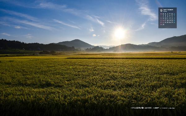 右上に令和6年9月のカレンダー、朝日に照らされ金色に稲穂が輝く様子を撮影した9月の壁紙カレンダーの写真