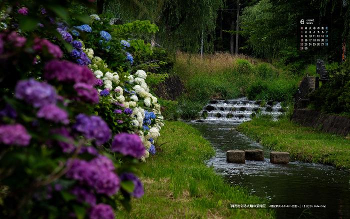 右上に令和7年6月のカレンダー、明後沢川と川岸に咲く紫陽花を撮影した6月の壁紙カレンダーの写真