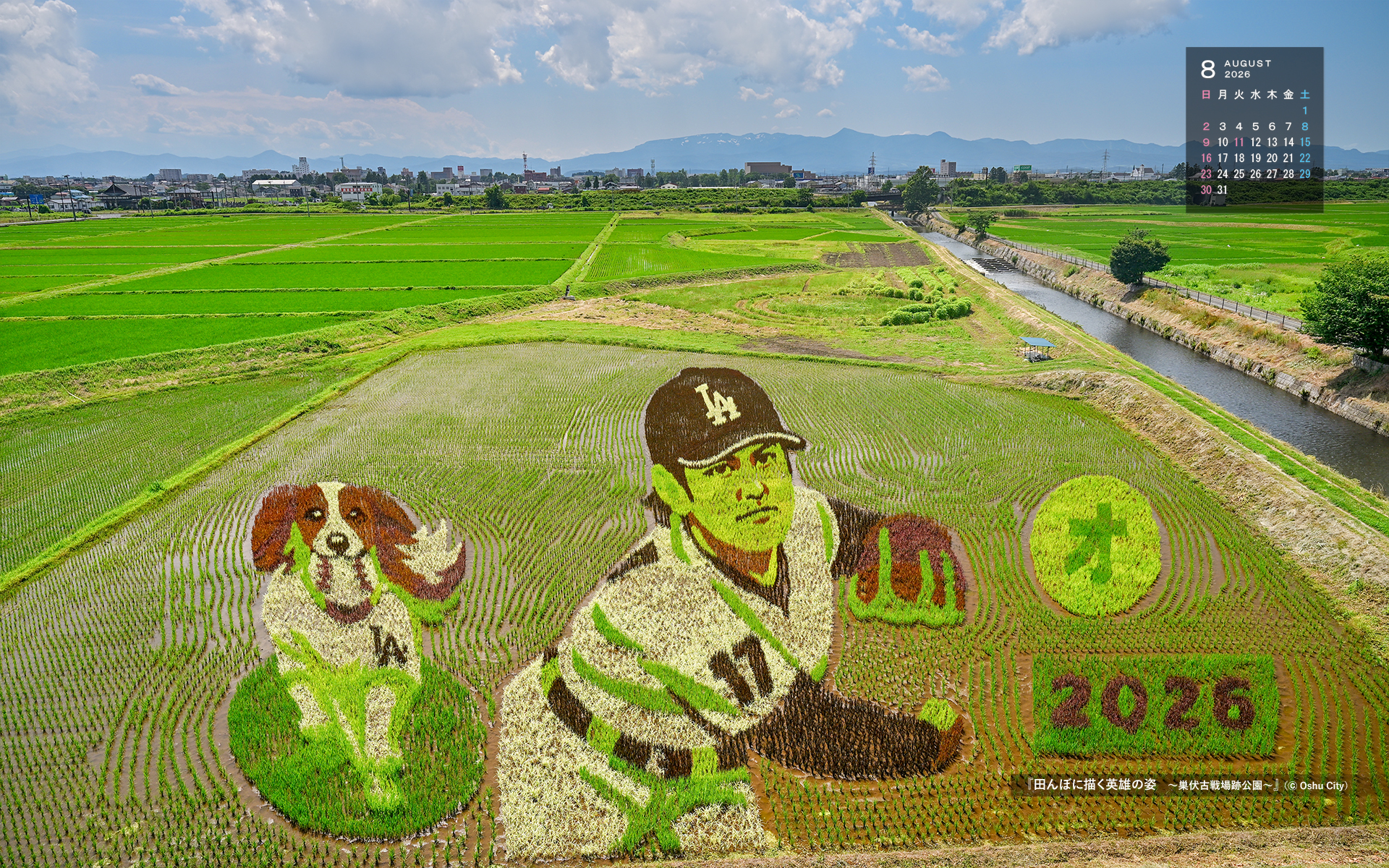 右上に令和7年8月のカレンダー、大谷翔平選手の田んぼアートを撮影した8月の壁紙カレンダーの写真
