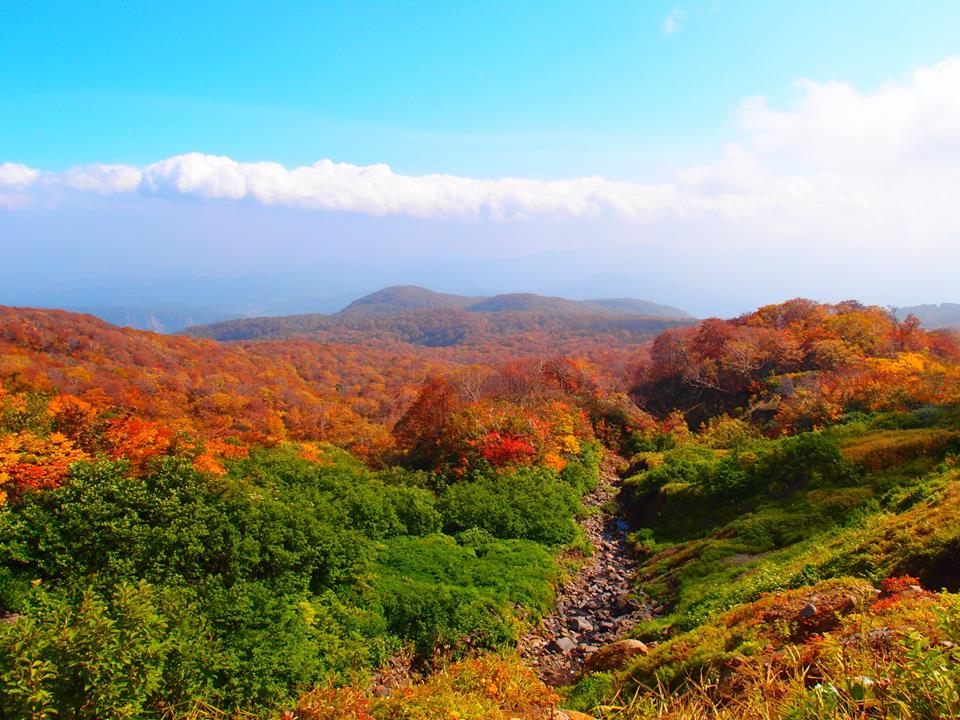 焼石連峰