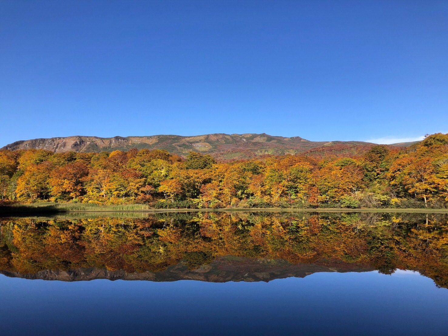 焼石岳紅葉と紅葉