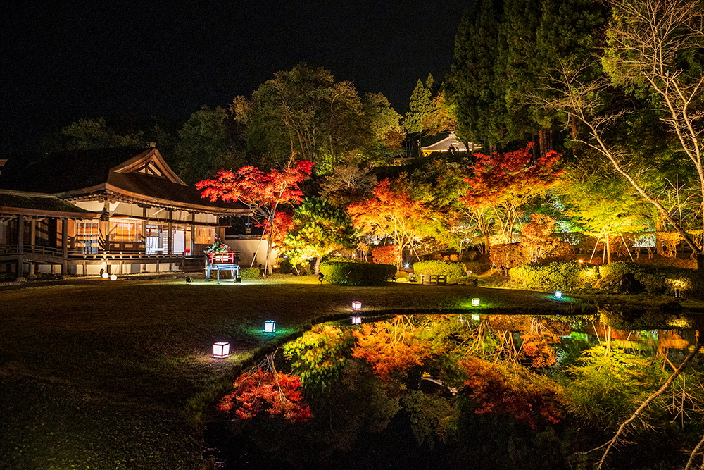 えさし藤原の郷_秋の紅葉ライトアップ