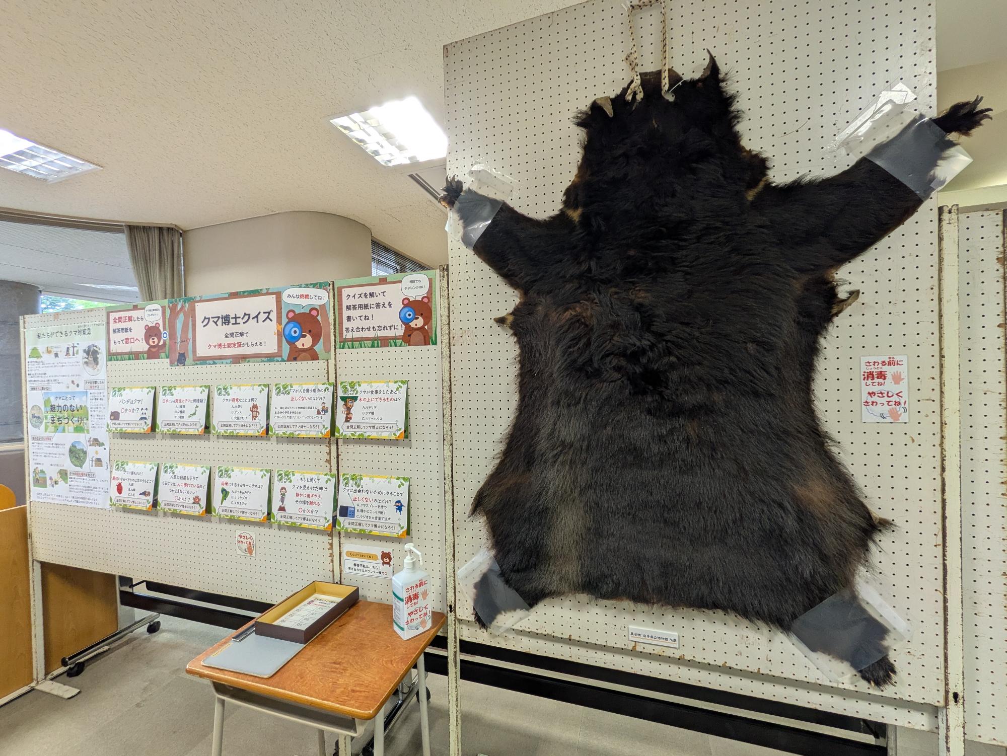 クマ展期間限定追加 毛皮