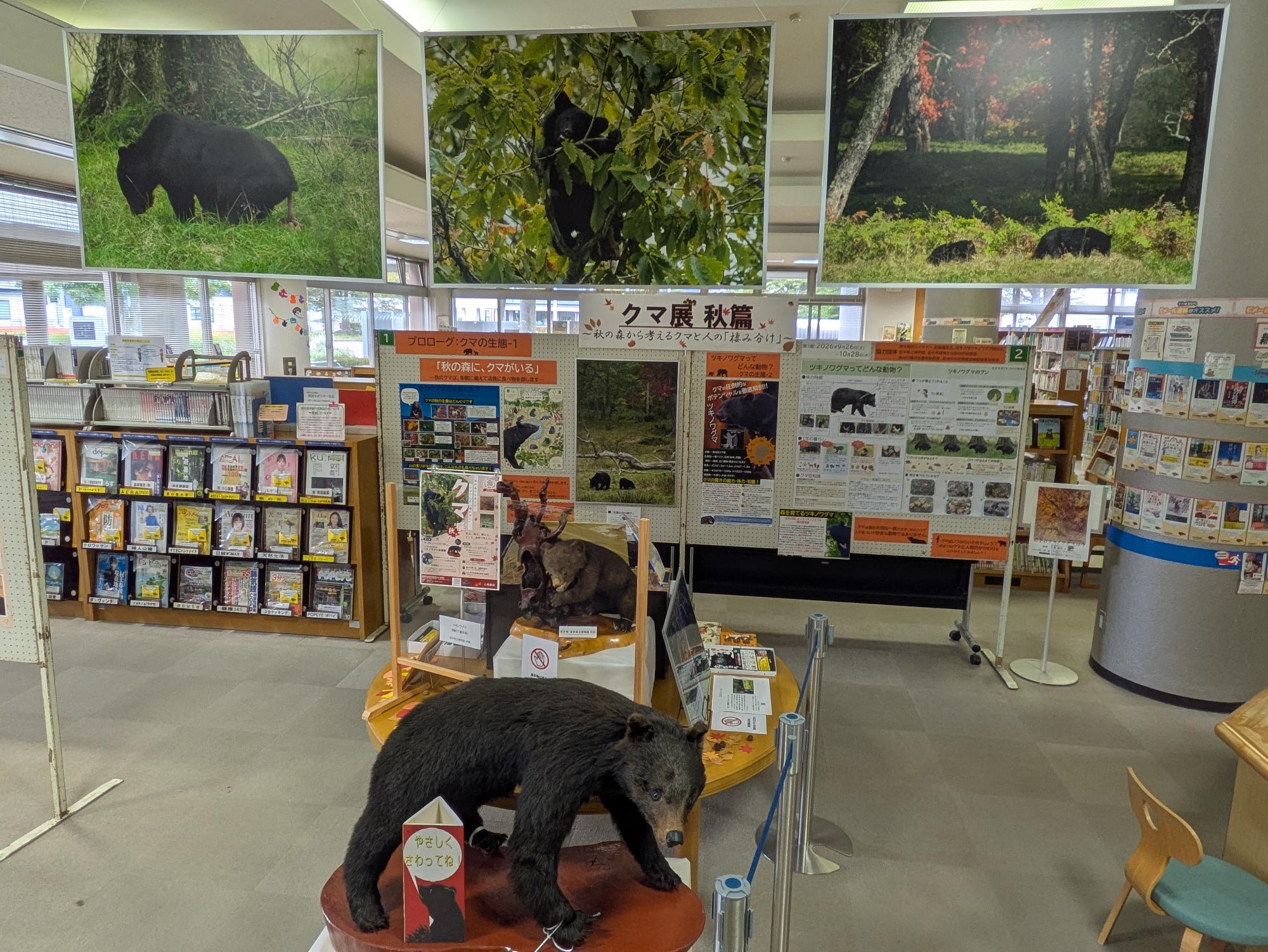 胆沢図書館開館35周年特別企画「クマ展~秋篇~クマと人の『棲み分け』について考える」展示写真1