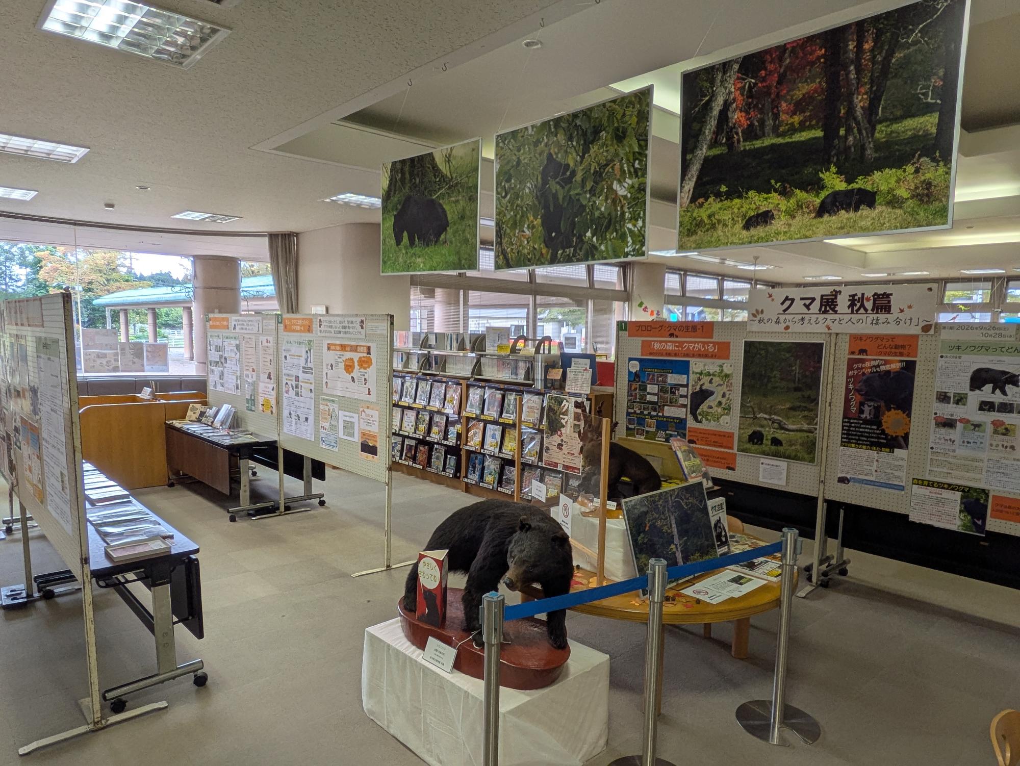 胆沢図書館開館35周年特別企画「クマ展~秋篇~クマと人の『棲み分け』について考える」展示写真2