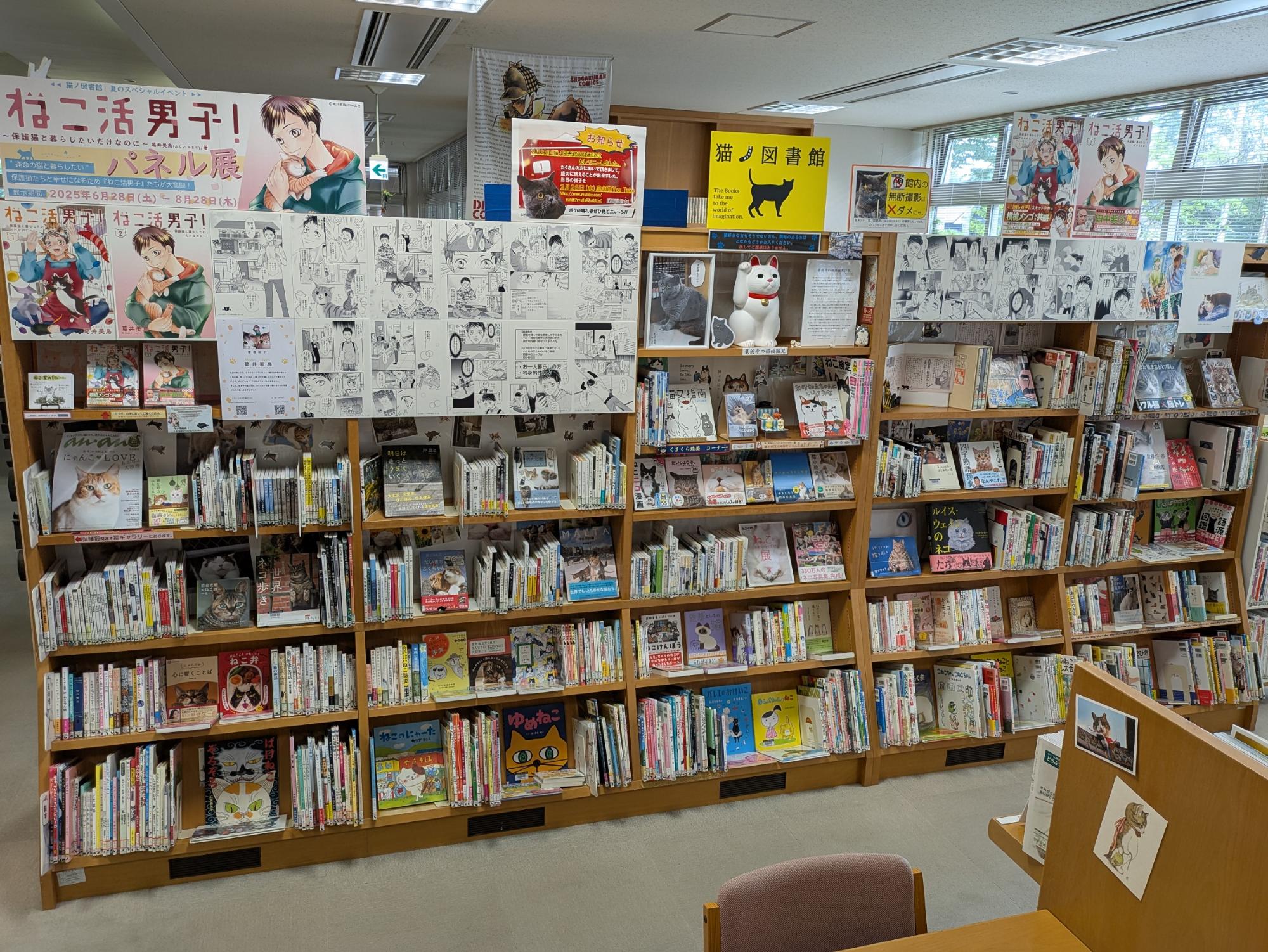 『ねこ活男子!~保護猫と暮らしたいだけなのに~』パネル展全景