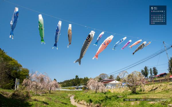 青空の下、ピンクのしだれ桜が咲いている大深沢川の辺を天高く泳いでいるこいのぼりと右上に小さな5月のカレンダーが載っている5月の壁紙カレンダーの写真