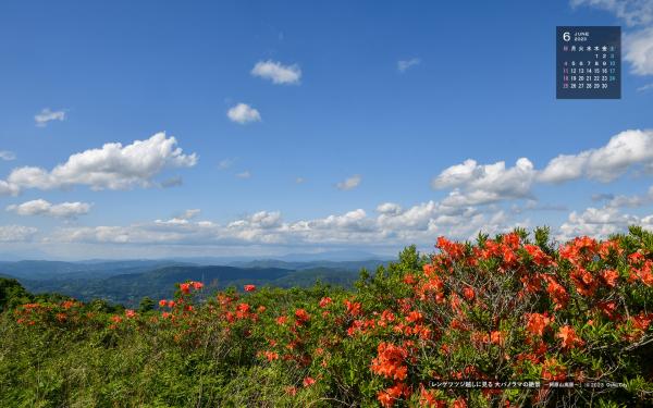右上に令和5年6月のカレンダー、オレンジの花をたくさんつけたレンゲツツジの奥に、所々雲が浮かぶ青空と辺りの自然が一望できる阿原山高原の展望所からの風景写真の6月の壁紙カレンダー写真