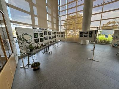 オープンガーデンおうしゅう写真展