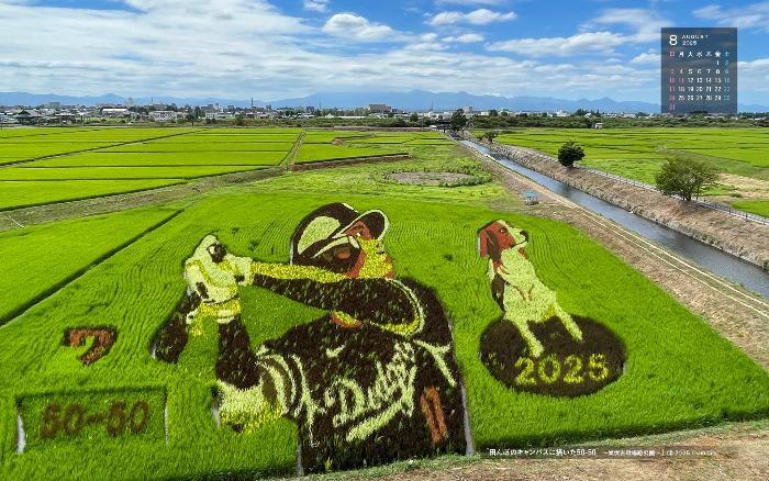 右上に令和7年8月のカレンダー、大谷翔平選手の田んぼアートを撮影した8月の壁紙カレンダーの写真