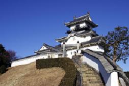 澄み切った青空と石階段を登った先に見える白壁の掛川城を見上げるように写した写真