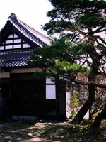 松の木の横に建つ前沢の茂木家入口を写した写真