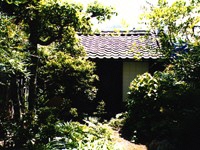 小道の先に立つ瓦屋根の家の半分以上が、草木に覆われて隠れた二宮敬作の居宅裏の離れの写真