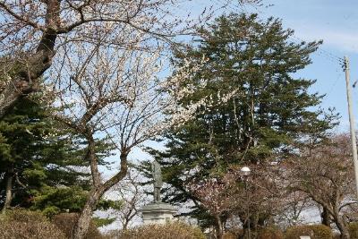 2026年4月記念館及び周辺の草木