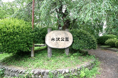 2026年7月記念館及び周辺の草木 その2