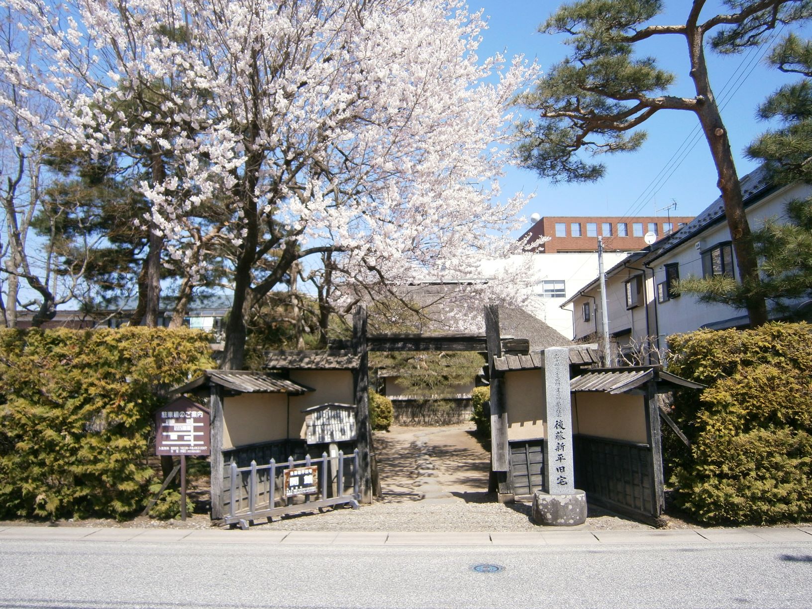 生垣の塀と大きな桜の木のある後藤新平旧宅の門の写真