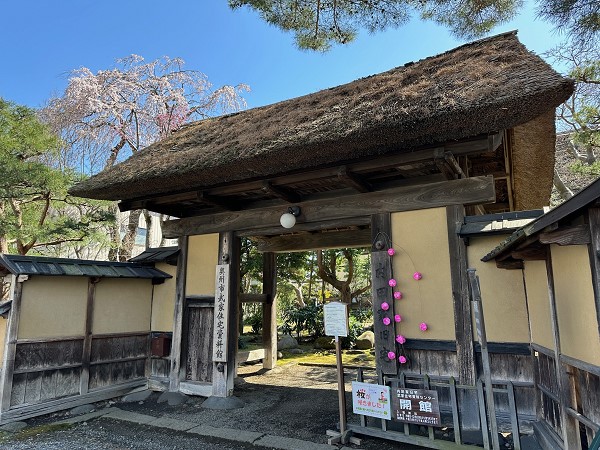 旧内田家住宅の門と桜の画像