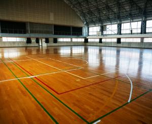 様々な競技用の緑、赤、白のラインが引かれた床に、太陽光が反射して大きな窓ガラス、天井が写っている体育館内部の写真