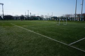 青々とした芝生にサッカー用の白線が引かれ、サッカーゴールが置かれた江刺カルチュアパーク多目的広場の写真