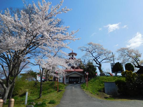 青空の下、満開の桜が咲き、正面に旧岩谷堂共立病院（明治記念館）が立っている写真