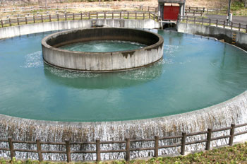 中央に円形の湧きだし口があり水が溜まっている徳水園の円筒分水の写真