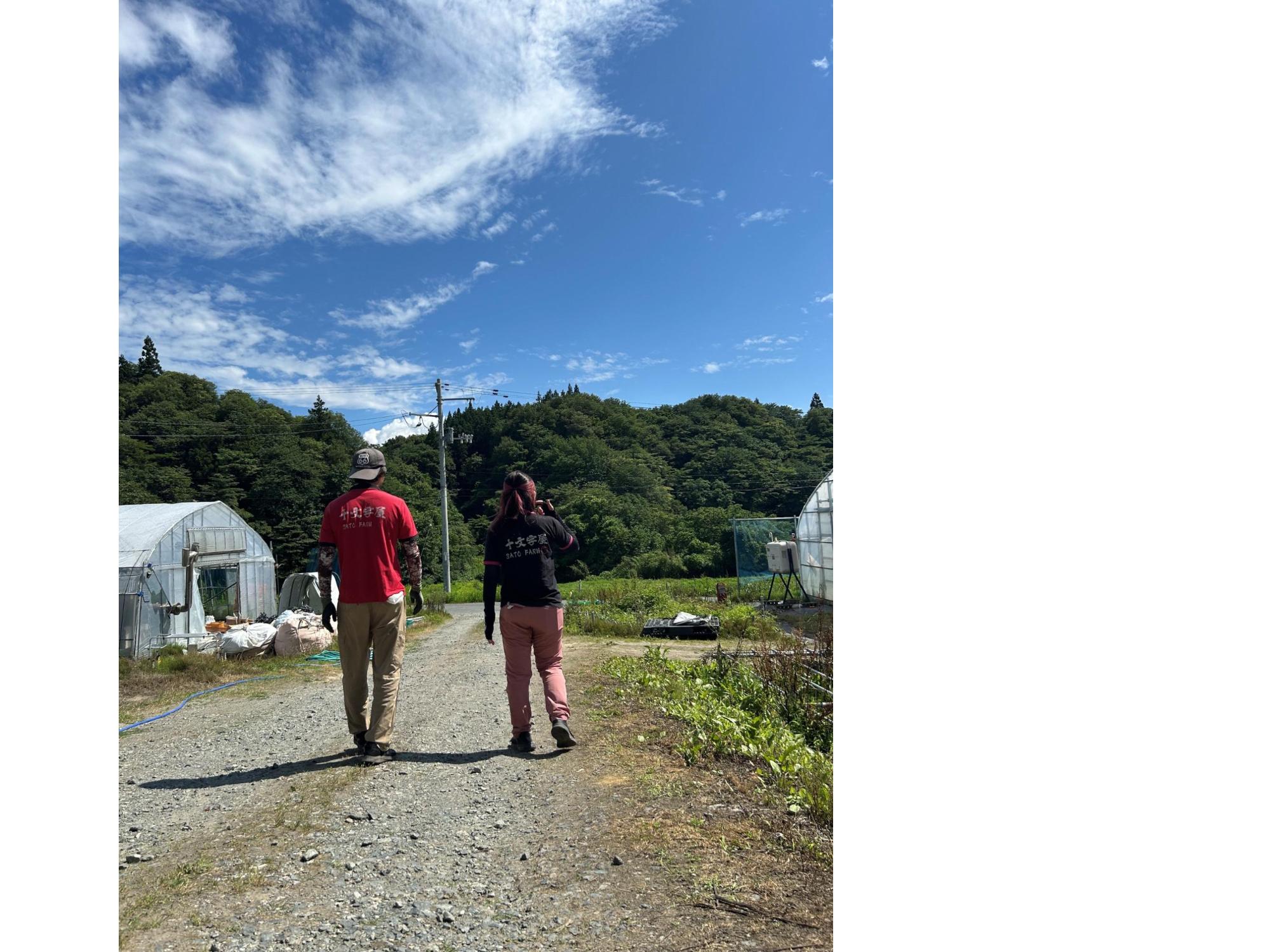 青空とご夫婦