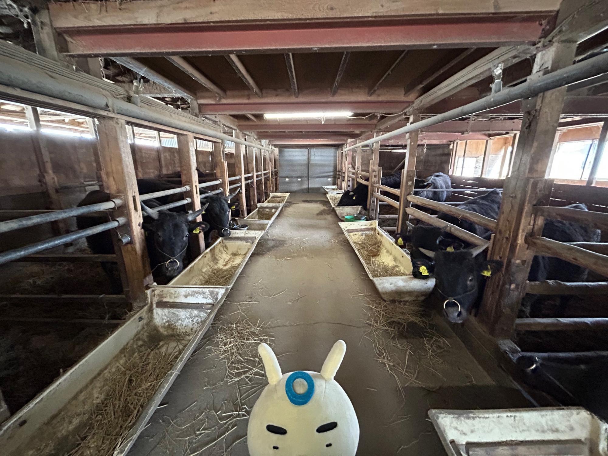 牛舎