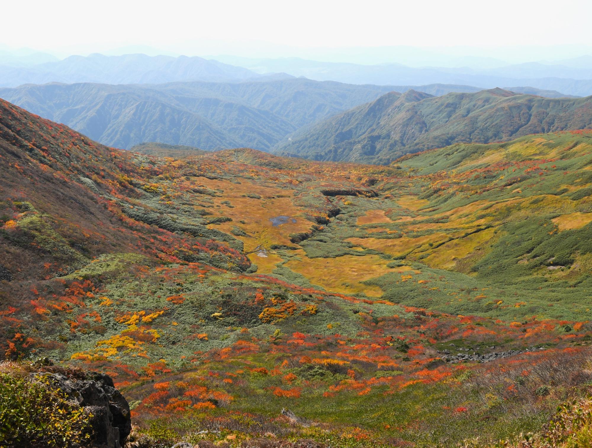 焼石岳山頂