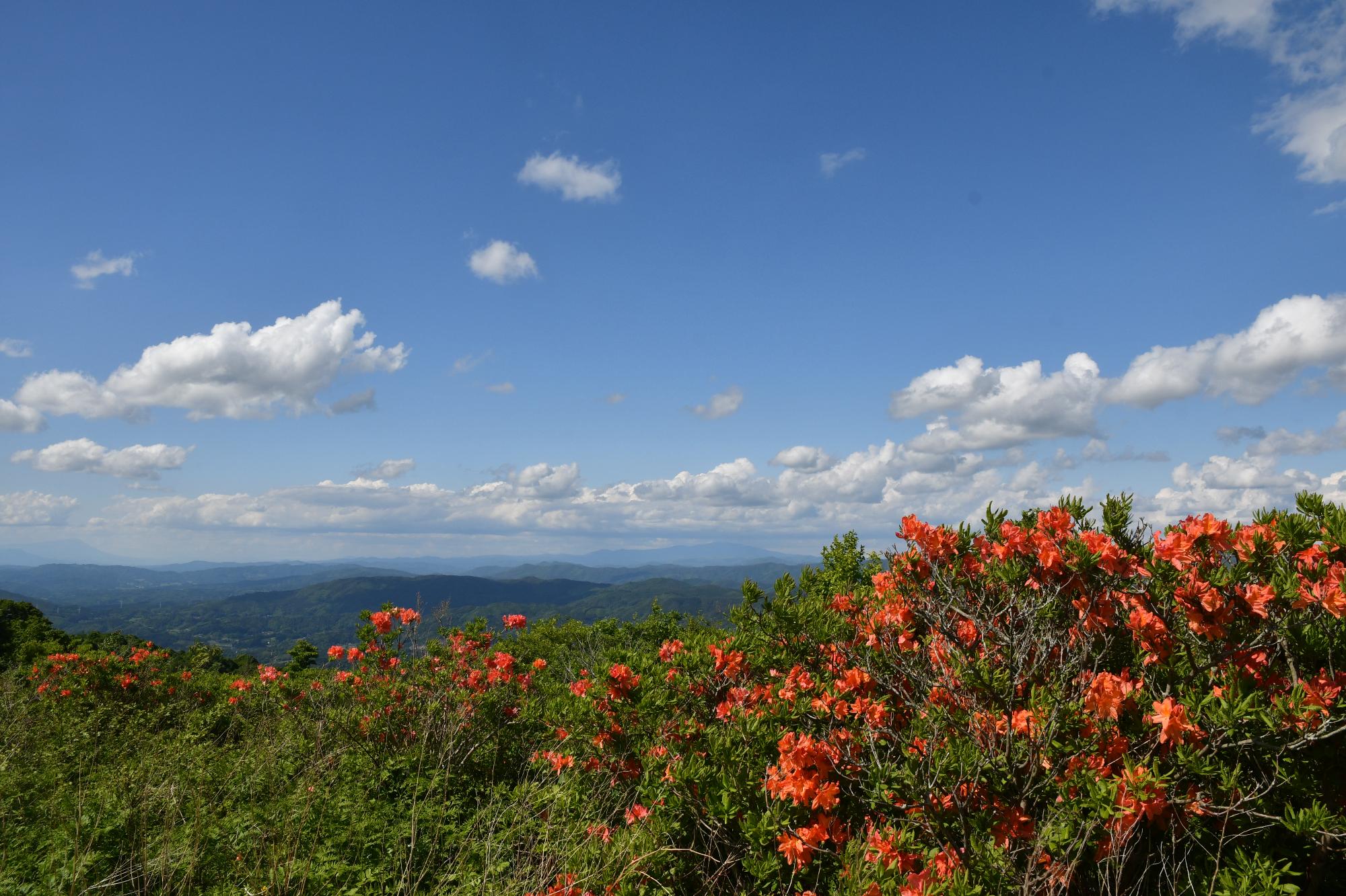 阿原山高原山開きの様子