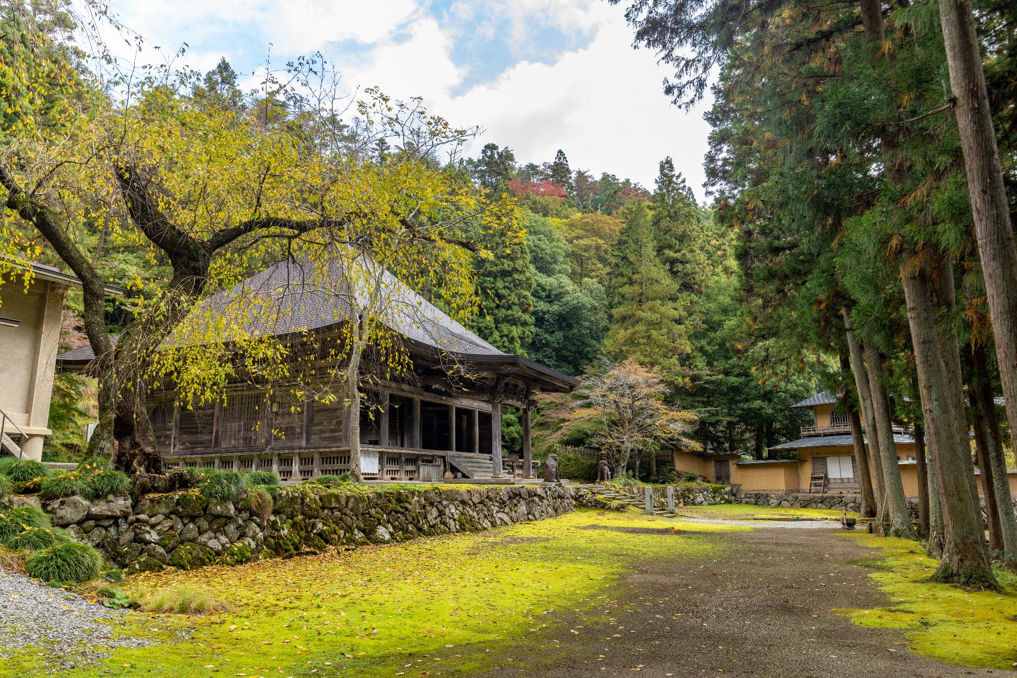 山中に佇む薬師堂（左）と鐘楼（右奥）