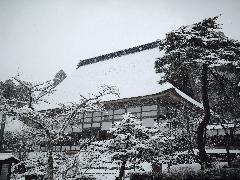雪の正法寺