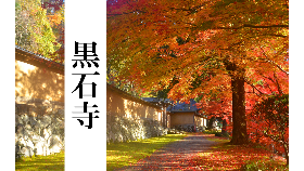 黒石寺紹介のサムネ
