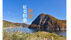 紅葉特集のサムネイル