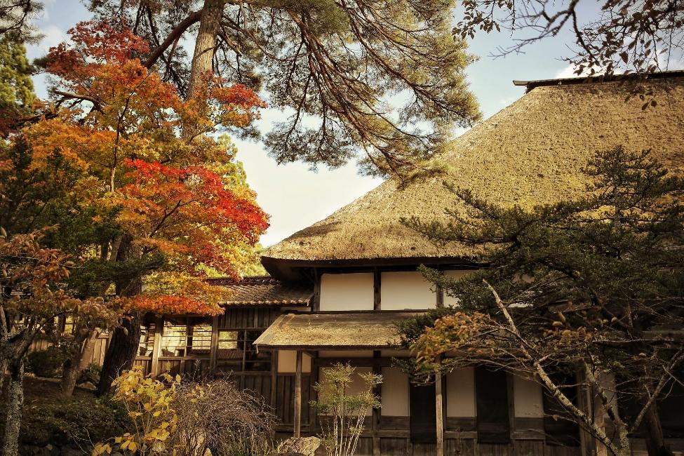正法寺秋の様子