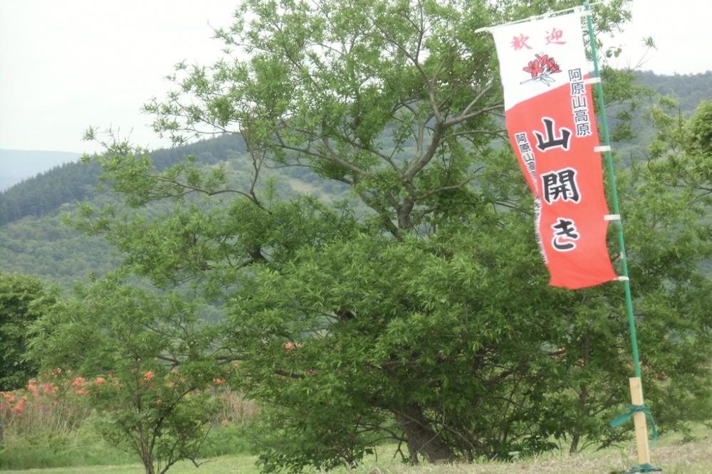 阿原山高原山開きの様子