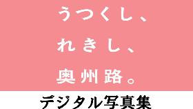 奥州市観光デジタル写真のサムネイル画像です