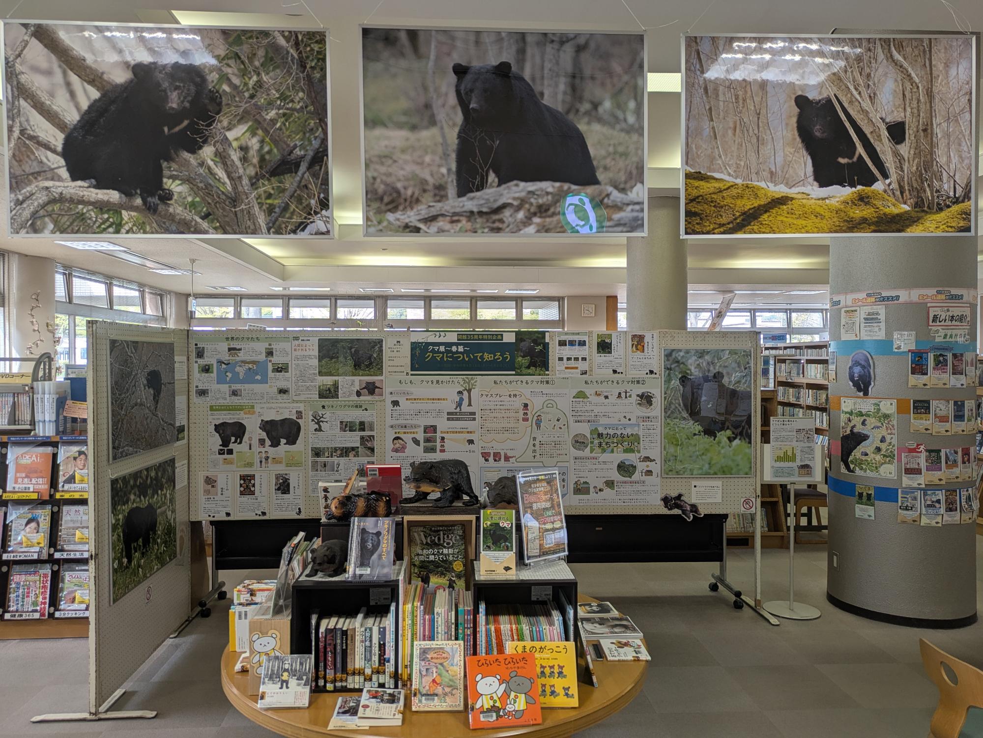 開館35周年特別企画『クマ展～春篇～クマについて知ろう』展示全景写真