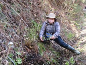 山の斜面に片足をかけてシダ植物の葉を手に取り参加者に説明している川田先生の写真