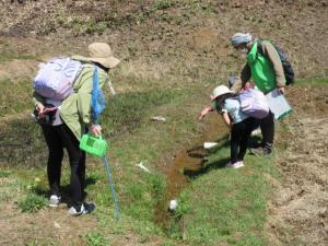 里山を流れる小川をのぞき込んでいる女の子やスタッフ、虫取り網と虫かごを持った女性の写真