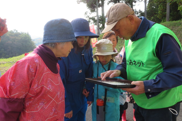 「お米を自分で収穫 ～買って食べるか？刈って食べるか？」精米2