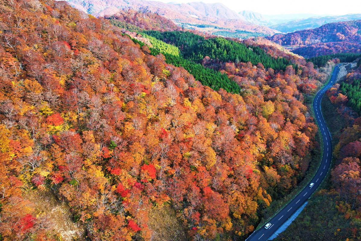 オレンジ色に紅葉する山と峠道