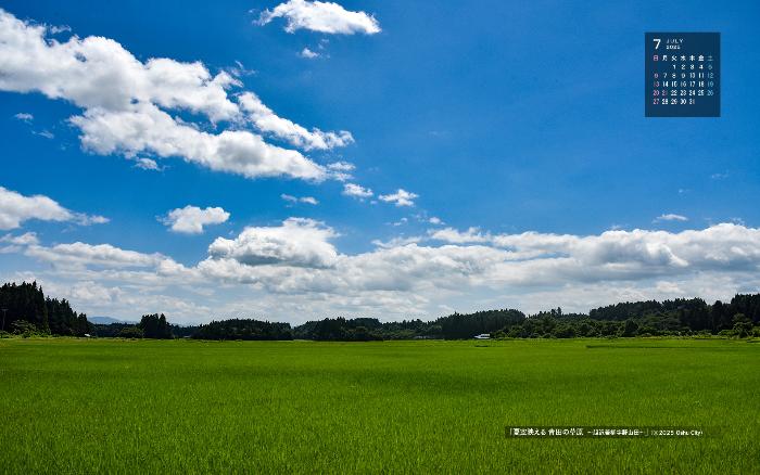 右上に令和7年7月のカレンダー、夏空の下に広がる青田を撮影した6月の壁紙カレンダーの写真