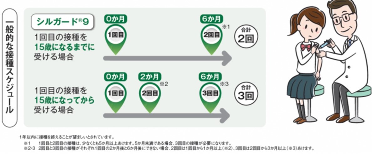 一般的なスケジュール