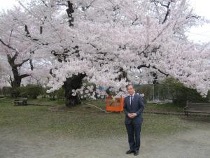 満開に咲き誇った桜の木のそばで、水内大使がお腹の前で両手を重ねて記念撮影をしている写真