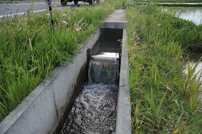 道路と田んぼの間の水路に設置されている止め板の写真