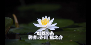 「蜘蛛の糸 著者 芥川 龍之介」の文字が映し出され、白い蓮の花が一輪咲いている映像画面の写真