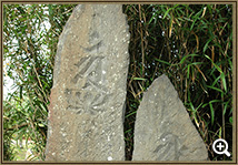 竹藪の中に主尊種字などが刻まれた高さの違う板碑が並んで立っている写真