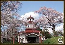 両側に満開に咲く桜の木がたっており、白い外壁に赤い屋根の3階建ての西洋式建物の旧岩谷堂共立病院の外観写真