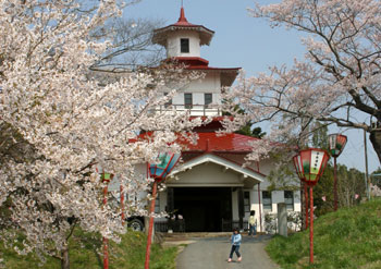 4階建てで上部が八角形の塔屋となっており、赤い屋根と白壁が印象的な旧岩谷堂共立病院が、通路を挟んで両脇に咲く桜の木々の間から見えている写真