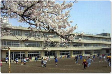桜の花が満開に咲いており、3階建ての校舎の前に広がる運動場で子ども達が元気に走り回って遊んでいる水沢小学校の校舎前の写真